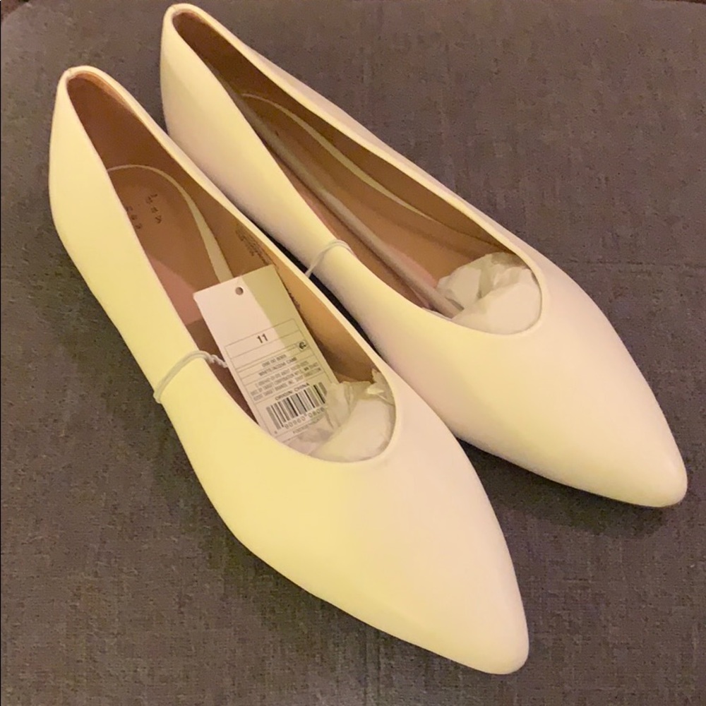 Camille Pointed Toe Ballet Flats